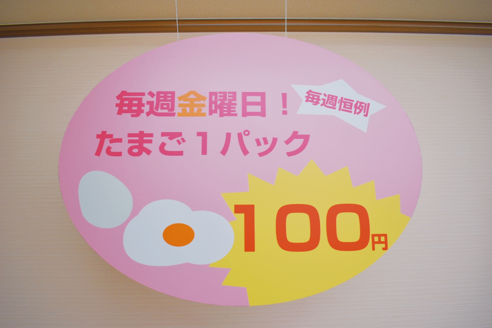 スチレンペーパー（B4パック） 光栄堂 発泡スチロール 板 パネル ボード 発泡ボード 建築模型 POP ポップ 工作 看板 展示 白